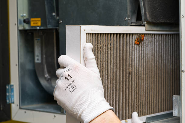 Best Home Air Vent Cleaning  in Arlington, TX